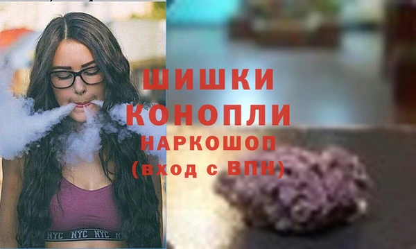 индика Мегион